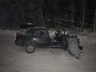 Все фото: УМВД по Архангельской области. 