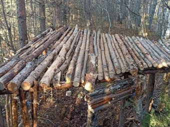 Фото пресс-службы администрации Северодвинска.