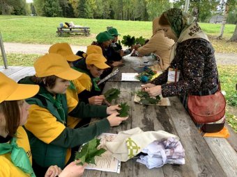 Все фото: АЭО. 