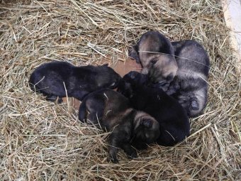 Все фото: пресс-служба УФСИН России по Архангельской области.