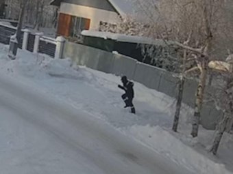 Стоп-кадр из видео УМВД по Архангельской области. 