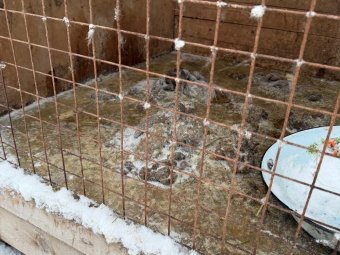 Фото со страницы Татьяны Халиной «ВК».