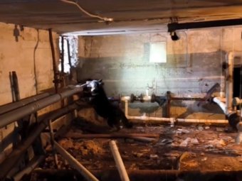 Фото: Архангельская областная служба спасения. 