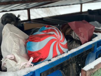 Фото «ЭкоИнтегратора».