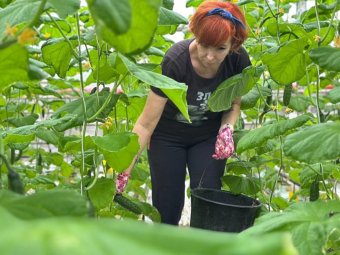 Фото пресс-службы губернатора и правительства Архангельской области