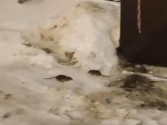 Кадр из видео. 