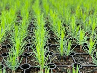 Фото Группы компаний УЛК.