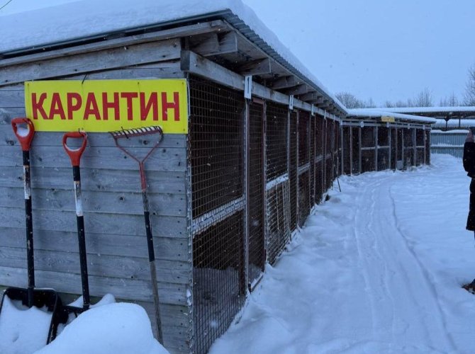 Фото прокуратуры. 