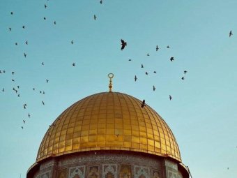 «Палестина онлайн»