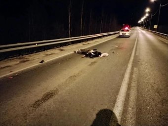 Фото: ГАИ Архангельской области. 