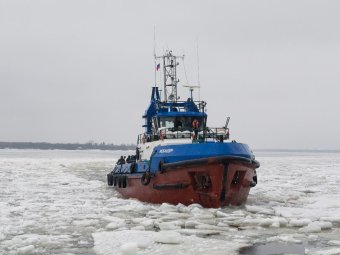 Фото пресс-службы администрации Архангельска.