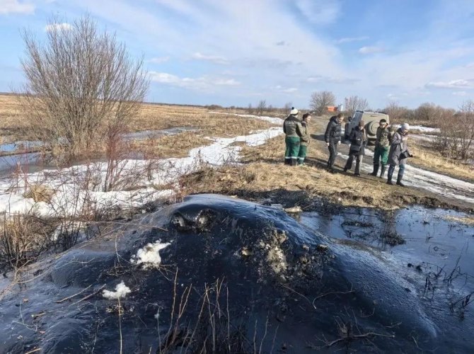 Фото прокуратуры Архангельской области и НАО.