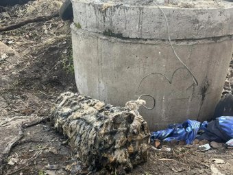 Фото «РВК-Архангельск»