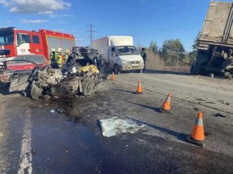 Фото: УМВД по Архангельской области. 