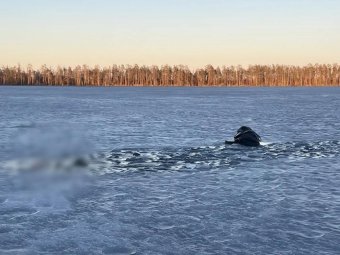 Фото пресс-службы регионального управления следкома.