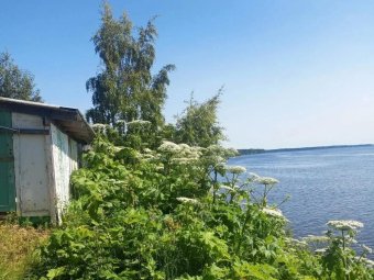 Фото пресс-службы областной прокуратуры. 