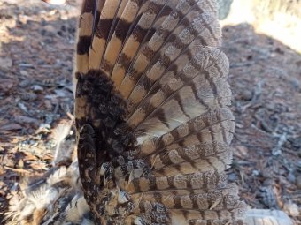 Все фото: Виталий Жибарь. 