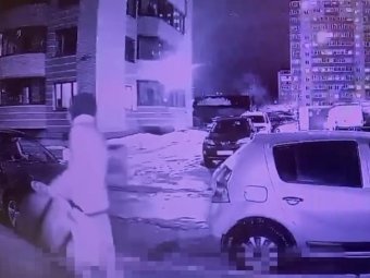 На фото стоп-кадр видео УМВД.