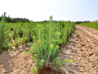 Фото Группы компаний УЛК.