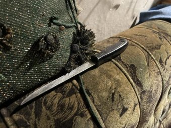 Фото СУ СК РФ по Архангельской области и НАО