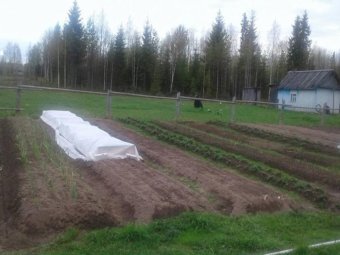 Фото сообщества «Пинега | Пинежский район Карпогоры»