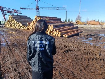Фото СУ СК РФ по Архангельской области и НАО.