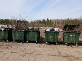 Все фото: «ЭкоИнтегратор».