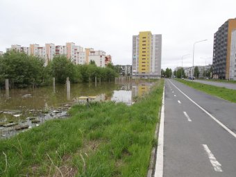 Фото: администрация Северодвинска. 
