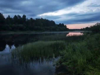 Фото СУ СК РФ по Архангельской области и НАО