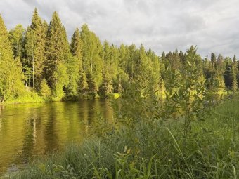 Фото следкома.