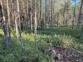 Фото следственного комитета. 