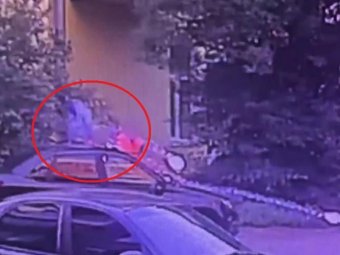 Фото пресс-службы УМВД по Архангельской области