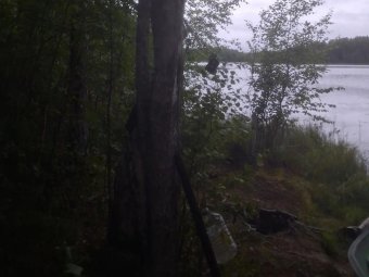 Фото СУ СК РФ по Архангельской области и НАО. 