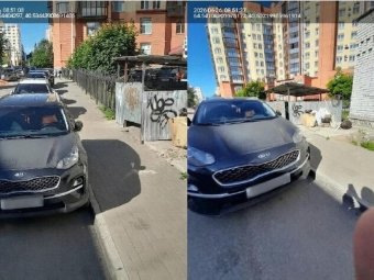 Фото: «ЭкоИнтегратор».