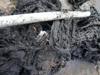 Вот, что достают сотрудники водоканала из засорившейся канализации. Фото: «РВК-Архангельск».