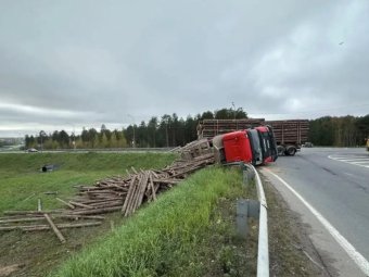 Фото: пресс-служба УМВД по Архангельской области. 