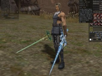 На фото кадр из игры «Lineage 2»