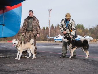 Фото: агентство по делам молодежи Архангельской области